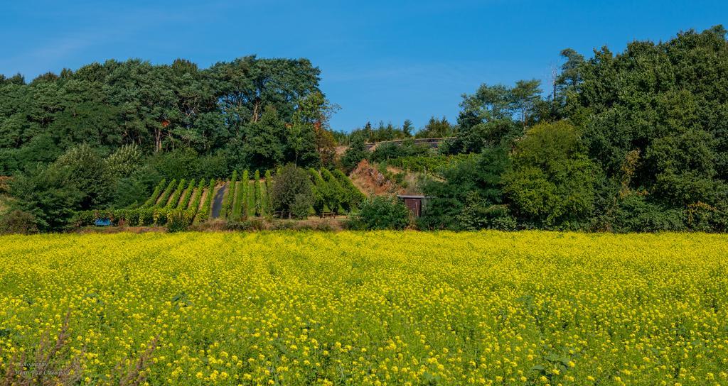 B&B Silentium Tielt Exteriör bild