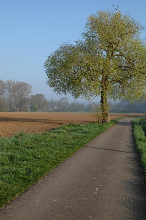 B&B Silentium Tielt Exteriör bild
