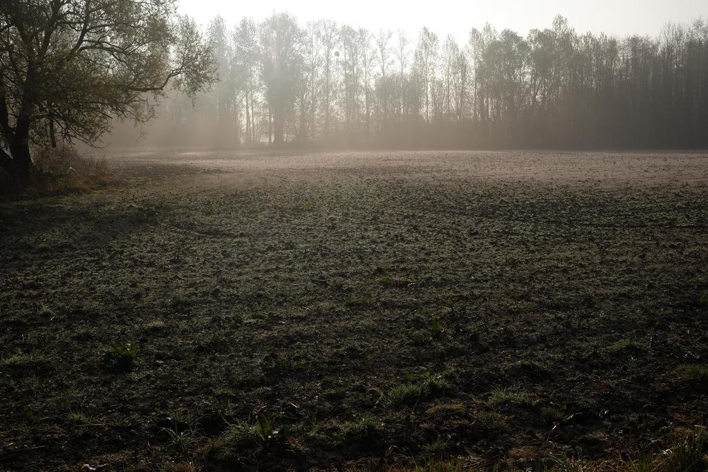 B&B Silentium Tielt Exteriör bild