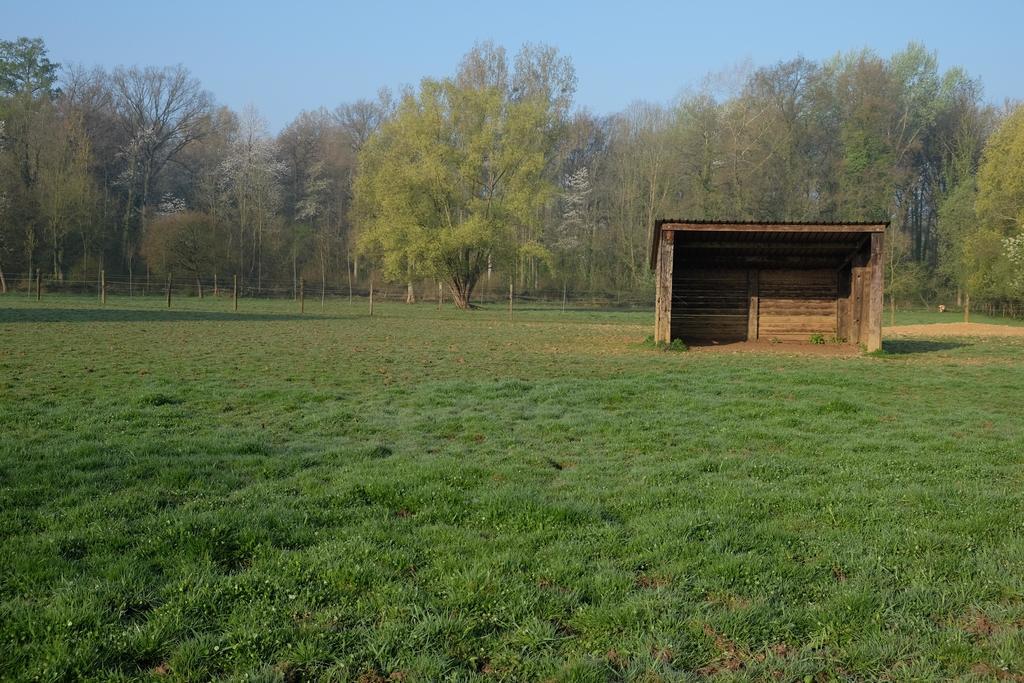 B&B Silentium Tielt Exteriör bild