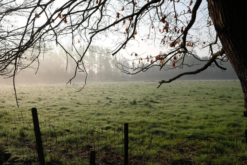 B&B Silentium Tielt Exteriör bild